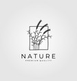 reeds minimalist logo vintage design vector image vector image
