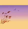 leaves of grass dragonflies and sunrise sky vector image vector image