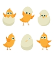 easter eggs chicks vector image