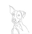 dog portrait lines vector image