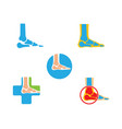 foot bone logo vector image