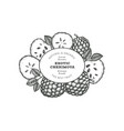 hand drawn sketch style cherimoya banner organic vector image vector image