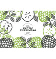 hand drawn sketch style cherimoya banner organic vector image vector image