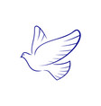 pigeon bird isolated holy dove vector image