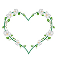 moon orchids flowers in a heart shape vector image