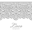 realistic lace vector image