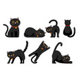 set cute black cats isolated on white vector image