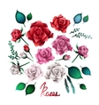 watercolor roses collection vector image