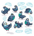 set of cartoon pigeons design for stickers pins vector image
