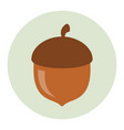 acorn icon flat vector image vector image