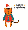 cute funny tiger in ugly sweater santa claus hat vector image