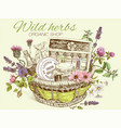 herbal cosmetics basket vector image vector image