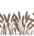 seamless pattern with ears of wheat vector image
