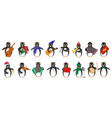 penguin icons set cartoon cute animal vector image