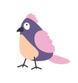avian animal with colorful plumage portrait vector image