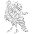 adult coloring bookpage a thanksgiving turkey vector image vector image