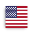 square flag of united states america vector image vector image