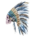american native hat and skull vector image