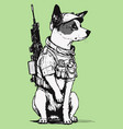 dog wearing camouflage uniform with rifle vector image