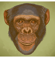 engraving chimp retro vector image vector image