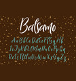handwritten calligraphy font alphabet vector image
