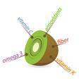 kiwi content properties and benefits vector image