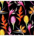 jungle flowers seamless vector image