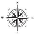compass rose vector image