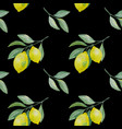 lemon branch seamless pattern on black vector image vector image