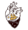 sea adventure in my heart vector image