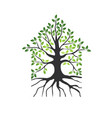abstract natural eco house vector image