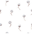cotton seamless pattern vector image