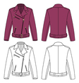 jacket vector image