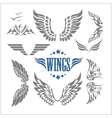 set of decorative wings isolated vector image