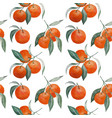 tangerine branches seamless pattern vector image vector image