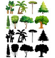 set plant and tree with its silhouette vector image