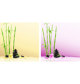 spa stones design vector image