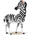 zebra cartoon vector image