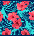 strelitzia palm pattern vector image