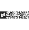 collection of black and white seamless patterns vector image vector image
