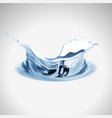 transparent water splash isolated on light vector image