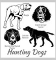 hunting dogs collection isolated on white vector image