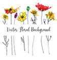 drawing herbs and flowers vector image