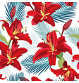 lily flower seamless pattern on white background vector image