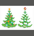 collection two christmas trees on a white vector image vector image
