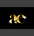 alphabet letter ae a e gold golden metal metallic vector image vector image
