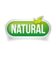 natural button with leaves vector image vector image