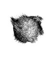 black brush strokes isolated on white vector image