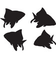 gold fish black vector image vector image