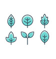 leaf design line icon green line vector image